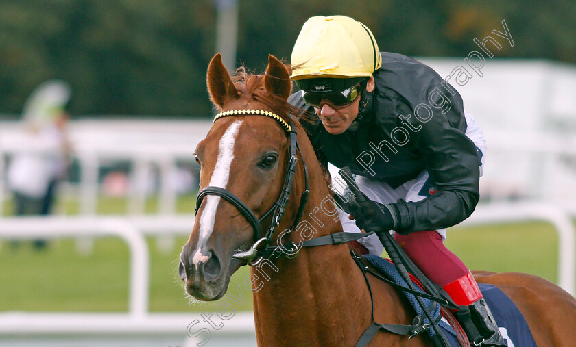 Stradivarius-0002 
 STRADIVARIUS (Frankie Dettori) winner of The Doncaster Cup
Doncaster 10 Sep 2021 - Pic Steven Cargill / Racingfotos.com