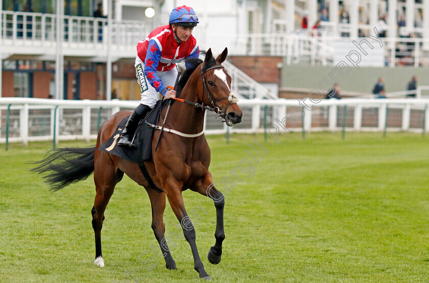 Silver-Screen-0001 
 SILVER SCREEN (Paul Hanagan)
Nottingham 30 May 2023 - Pic Steven Cargill / Racingfotos.com