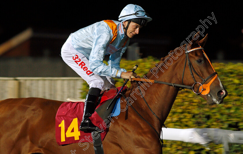 Timoshenko-0001 
 TIMOSHENKO (Luke Morris) Kempton 4 Oct 2017 - Pic Steven Cargill / Racingfotos.com