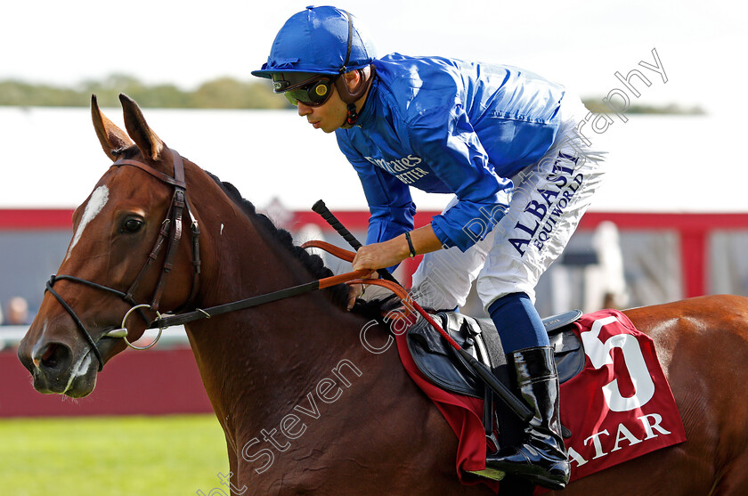 Bionic-Woman-0002 
 BIONIC WOMAN (Mickael Barzalona)
Longchamp 6 Oct 2019 - Pic Steven Cargill / Racingfotos.com