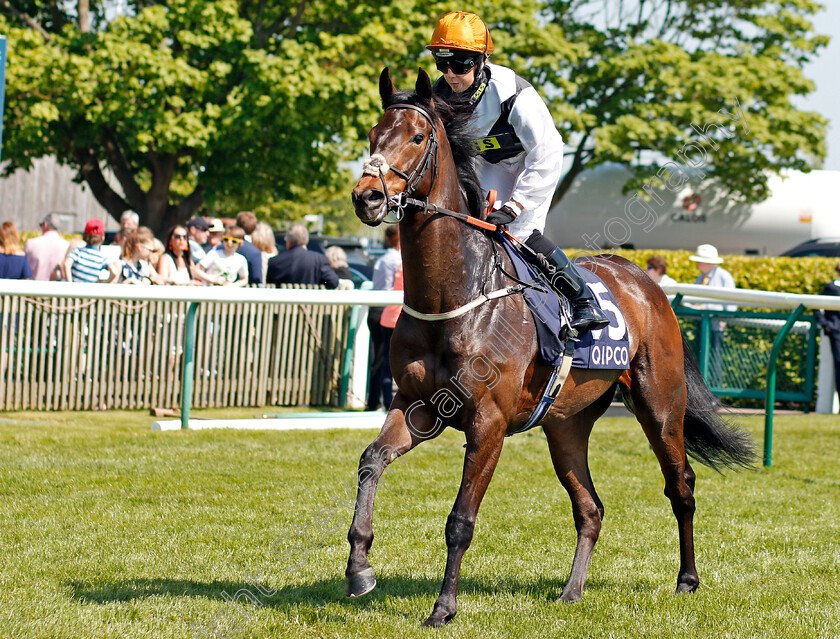 Maori-Bob-0001 
 MAORI BOB (Hayley Turner) Newmarket 5 May 2018 - Pic Steven Cargill / Racingfotos.com