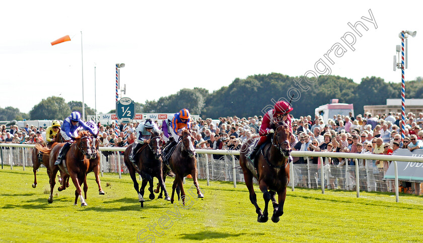 Mishriff-0002 
 MISHRIFF (David Egan) wins The Juddmonte International
York 18 Aug 2021 - Pic Steven Cargill / Racingfotos.com