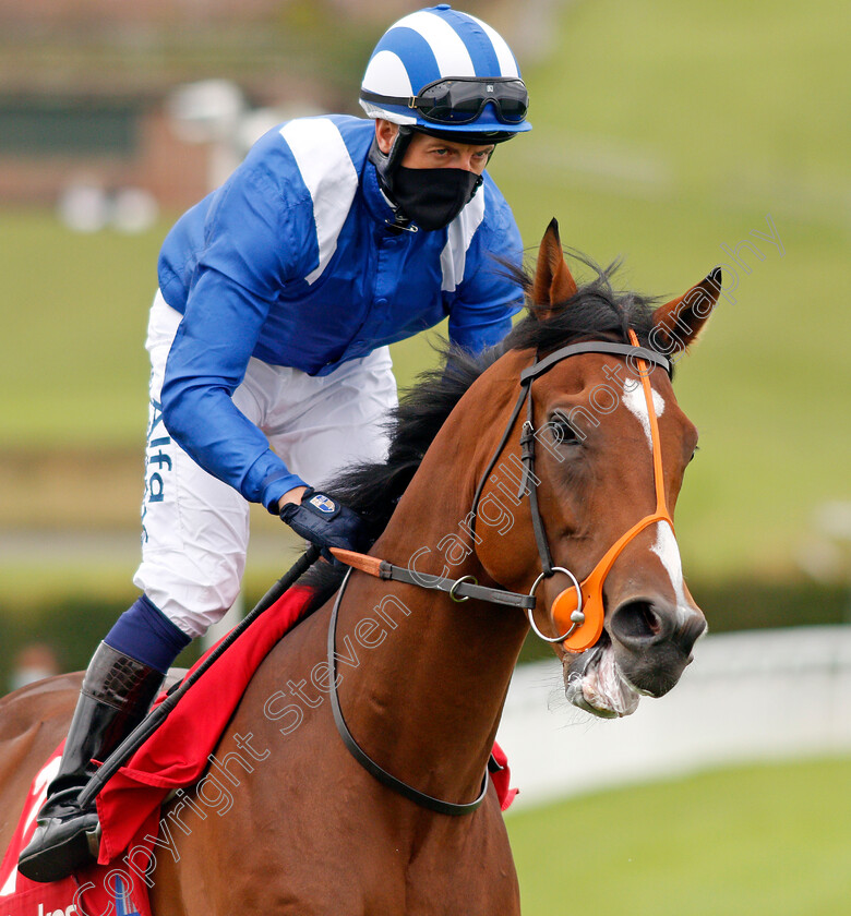 Al-Madhar-0001 
 AL MADHAR (Jim Crowley)
Goodwood 30 Aug 2020 - Pic Steven Cargill / Racingfotos.com