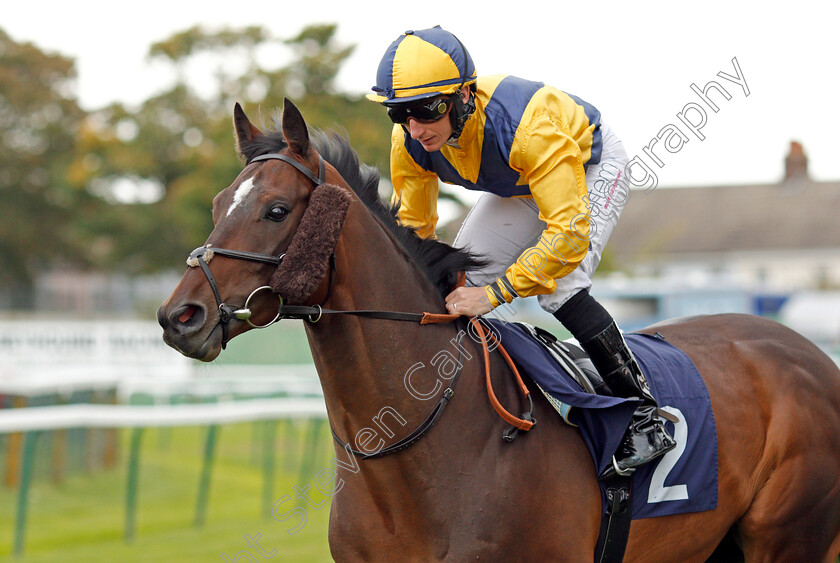 Honiara-0001 
 HONIARA (P J McDonald) Yarmouth 20 Sep 2017 - Pic Steven Cargill / Racingfotos.com