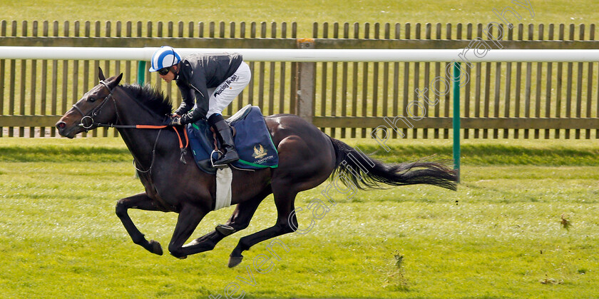 Elarqam-0002 
 ELARQAM (Jim Crowley) gallops at Newmarket 17 Apr 2018 - Pic Steven Cargill / Racingfotos.com