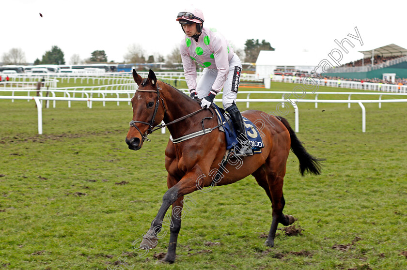 Djakadam-0002 
 DJAKADAM (Patrick Mullins) Cheltenham 16 Mar 2018 - Pic Steven Cargill / Racingfotos.com