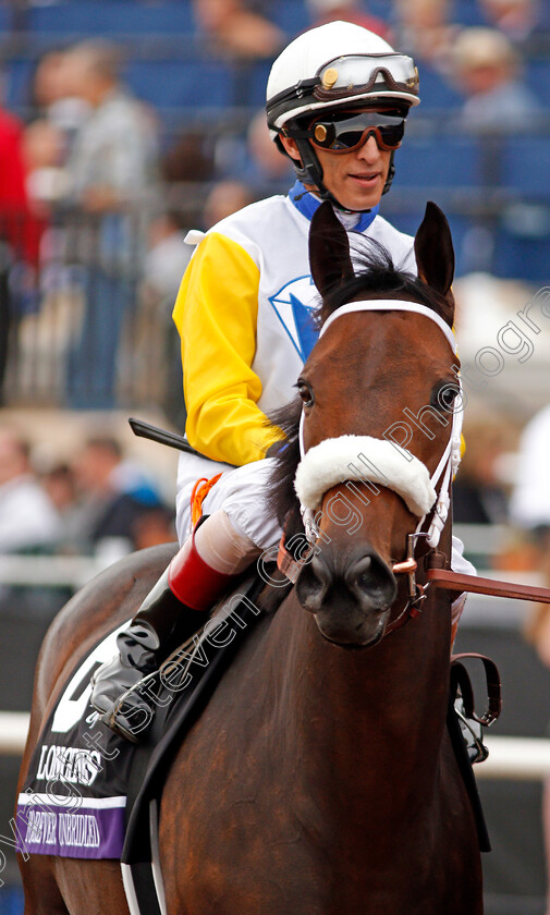 Forever-Unbridled-0011 
 FOREVER UNBRIDLED (John Velazquez) before The Breeders' Cup Distaff, Del Mar USA 3 Nov 2017 - Pic Steven Cargill / Racingfotos.com