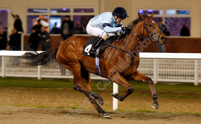 Fantail-0010 
 FANTAIL (Joe Fanning) wins The Bet totetrifecta At totesport.com EBF Fillies Novice Stakes
Chelmsford 19 Nov 2019 - Pic Steven Cargill / Racingfotos.com