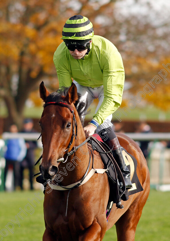 Aspatre-0001 
 ASPATRE (Robert Havlin)
Newmarket 28 Oct 2022 - Pic Steven Cargill / Racingfotos.com