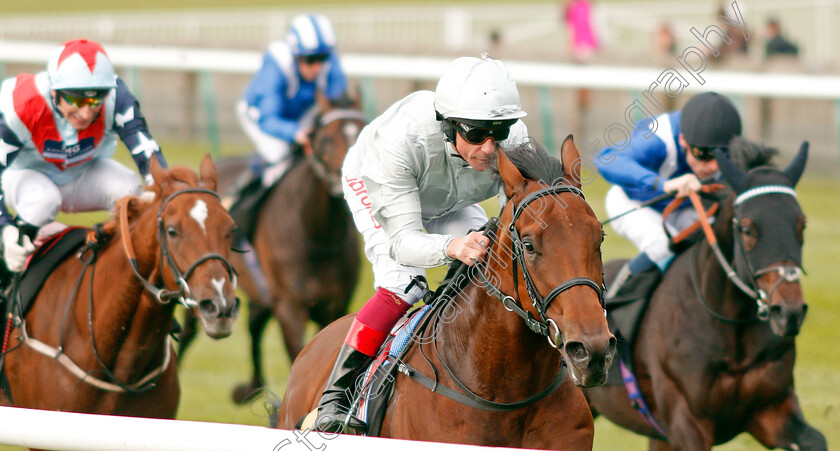 King-Leonidas-0005 
 KING LEONIDAS (Frankie Dettori) wins The Coates & Seely Blanc De Blancs Novice Stakes Div1
Newmarket 23 Oct 2019 - Pic Steven Cargill / Racingfotos.com