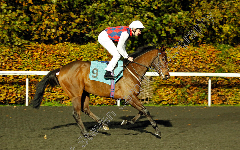 Lunar-Landscape-0001 
 LUNAR LANDSCAPE (Charles Bishop)
Kempton 16 Nov 2022 - Pic Steven Cargill / Racingfotos.com