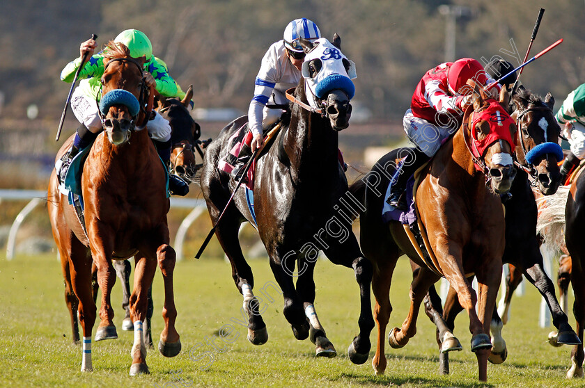 He-Will-0003 
 HE WILL (left, Mike Smith) wins The Lure Stakes, Del Mar USA 2 Nov 2017 - Pic Steven Cargill / Racingfotos.com