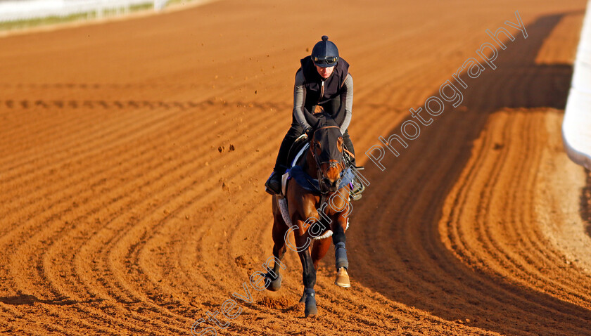 Jumby-0002 
 JUMBY training for The 1351 Turf Sprint
King Abdulaziz Racecourse, Saudi Arabia 21 Feb 2024 - Pic Steven Cargill / Racingfotos.com