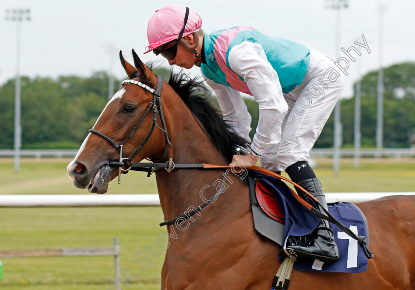 Escape-Proof-0001 
 ESCAPE PROOF (Jason Watson)
Wolverhampton 17 Jul 2019 - Pic Steven Cargill / Racingfotos.com