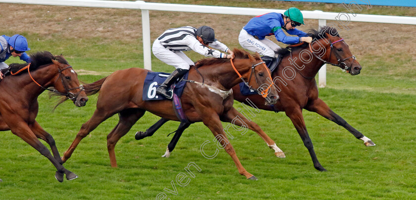 Time-Step-0003 
 TIME STEP (farside, Harry Davies) beats MAJESKI MAN (6) in The Sea Deer Handicap
Yarmouth 14 Sep 2022 - Pic Steven Cargill / Racingfotos.com