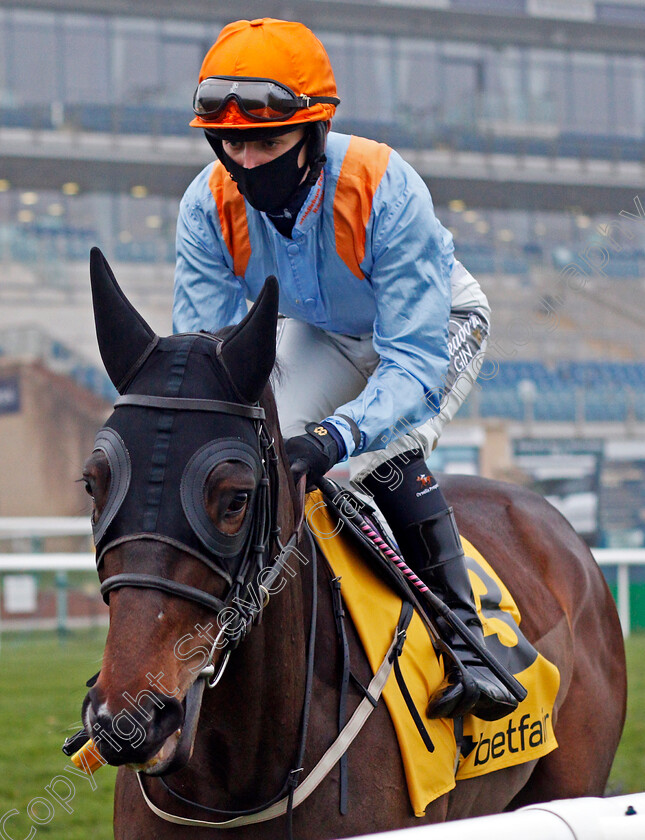 Glencadam-Glory-0001 
 GLENCADAM GLORY (Ella McCain)
Doncaster 7 Nov 2020 - Pic Steven Cargill / Racingfotos.com