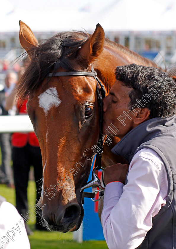 Bay-City-Roller-0009 
 BAY CITY ROLLER winner of The Betfred Champagne Stakes
Doncaster 14 Sep 2024 - Pic Steven Cargill / Racingfotos.com