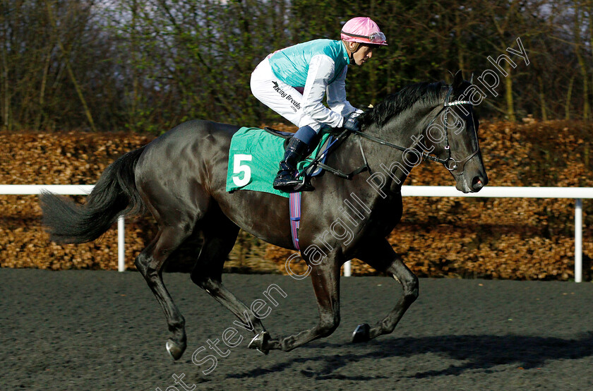 Ironclad-0001 
 IRONCLAD (Jim Crowley)
Kempton 6 Mar 2019 - Pic Steven Cargill / Racingfotos.com