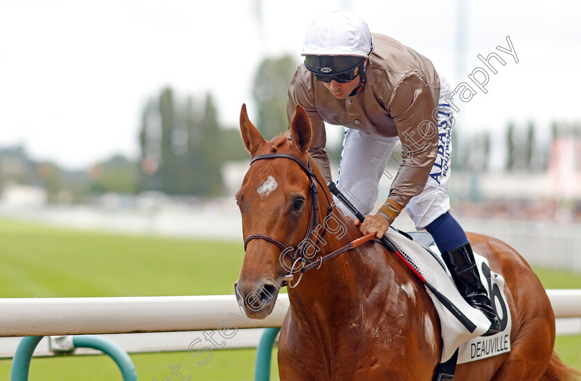 Track-Of-Time-0002 
 TRACK OF TIME (Mickael Barzalona)
Deauville 13 Aug 2023 - Pic Steven Cargill / Racingfotos.com