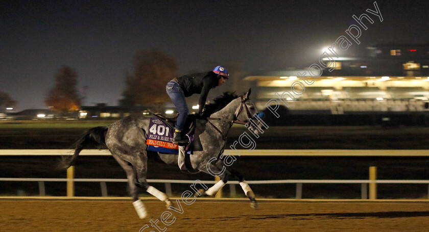 Family-Way-0001 
 FAMILY WAY training for the Breeders' Cup Filly & Mare Turf
Keeneland USA 2 Nov 2022 - Pic Steven Cargill / Racingfotos.com