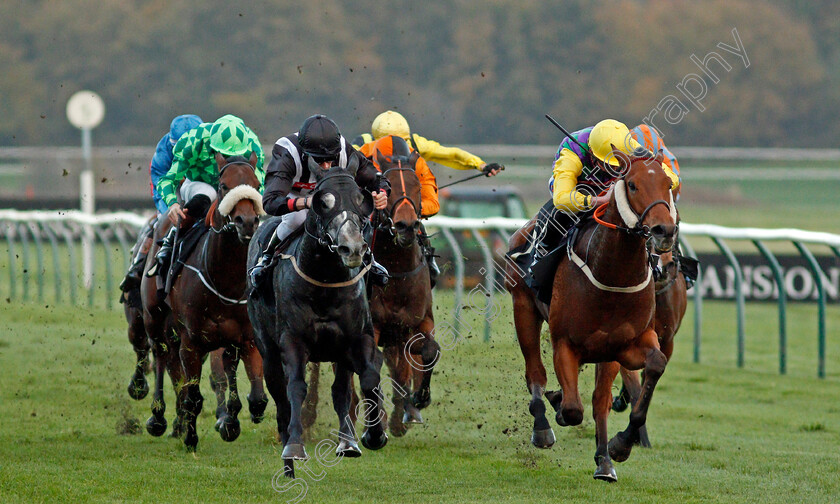 Harry s-Ridge-0006 
 HARRY'S RIDGE (right, Harrison Shaw) beats TOMAHAWK RIDGE (left) in The Download The Mansionbet App Handicap
Nottingham 4 Nov 2020 - Pic Steven Cargill / Racingfotos.com