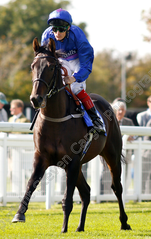 Migration-0002 
 MIGRATION (Fran Berry)
Salisbury 3 Oct 2018 - Pic Steven Cargill / Racingfotos.com