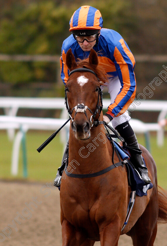 Rhode-Island-0001 
 RHODE ISLAND (Robert Havlin) Lingfield 21 Nov 1017 - Pic Steven Cargill / Racingfotos.com