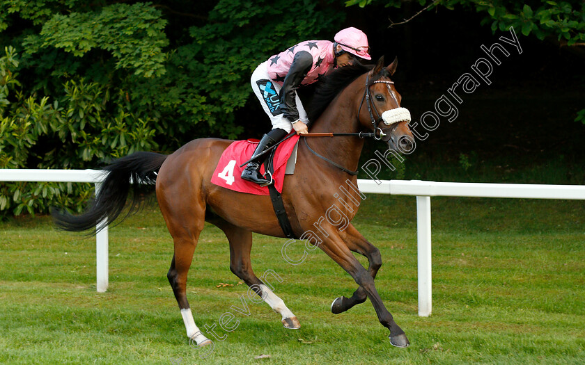 Trailboss-0001 
 TRAILBOSS (Stevie Donohoe)
Sandown 30 May 2019 - Pic Steven Cargill / Racingfotos.com