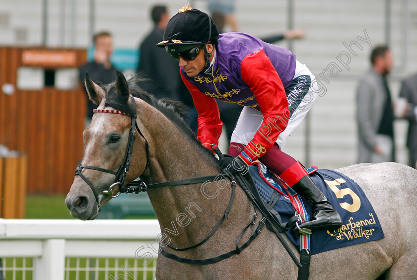 Saga-0001 
 SAGA (Frankie Dettori) winner of The Charbonnel Et Walker British EBF Maiden Stakes
Ascot 3 Sep 2021 - Pic Steven Cargill / Racingfotos.com