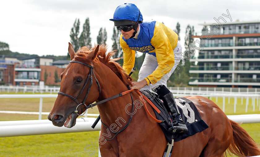 Mr-Poy-0001 
 MR POY (Charlie Bennett)
Newbury 6 Aug 2019 - Pic Steven Cargill / Racingfotos.com