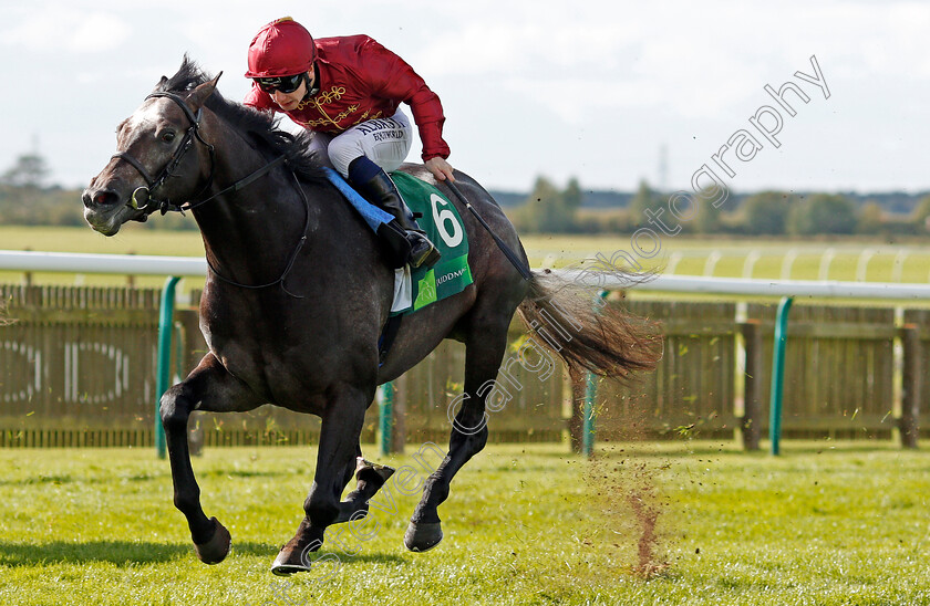 Roaring-Lion-0006 
 ROARING LION (Oisin Murphy) wins The Juddmonte Royal Lodge Stakes Newmarket 30 Sep 2017 - Pic Steven Cargill / Racingfotos.com