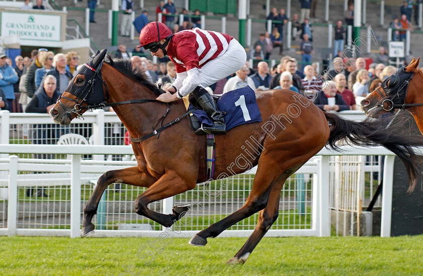 Pocket-The-Profit-0007 
 POCKET THE PROFIT (Ryan Moore) wins The Free Replays On attheraces.com Nursery
Yarmouth 19 Oct 2021 - Pic Steven Cargill / Racingfotos.com