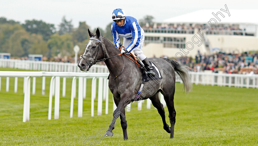 Morando-0001 
 MORANDO (Silvestre De Sousa) before The Property Raceday Cumberland Lodge Stakes
Ascot 5 Oct 2019 - Pic Steven Cargill / Racingfotos.com