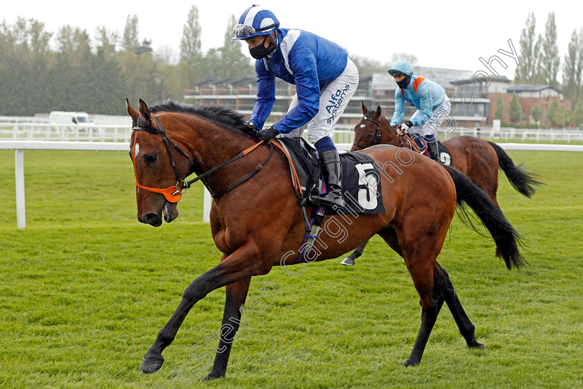 Al-Shibli-0001 
 AL SHIBLI (Jim Crowley)
Newbury 15 May 2021 - Pic Steven Cargill / Racingfotos.com