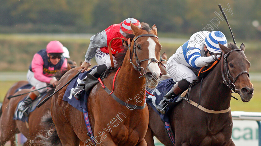 Sandfrankskipsgo-0004 
 SANDFRANKSKIPSGO (left, Pat Dobbs) beats AQUADABRA (right) in The Call Star Sports On 08000 521 321 Handicap
Lingfield 3 Oct 2019 - Pic Steven Cargill / Racingfotos.com