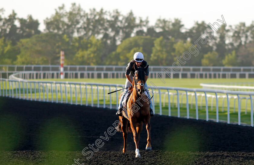 Ladies-Church-0002 
 LADIES CHURCH training at the Dubai World Cup Carnival
Meydan 5 Jan 2023 - Pic Steven Cargill / Racingfotos.com