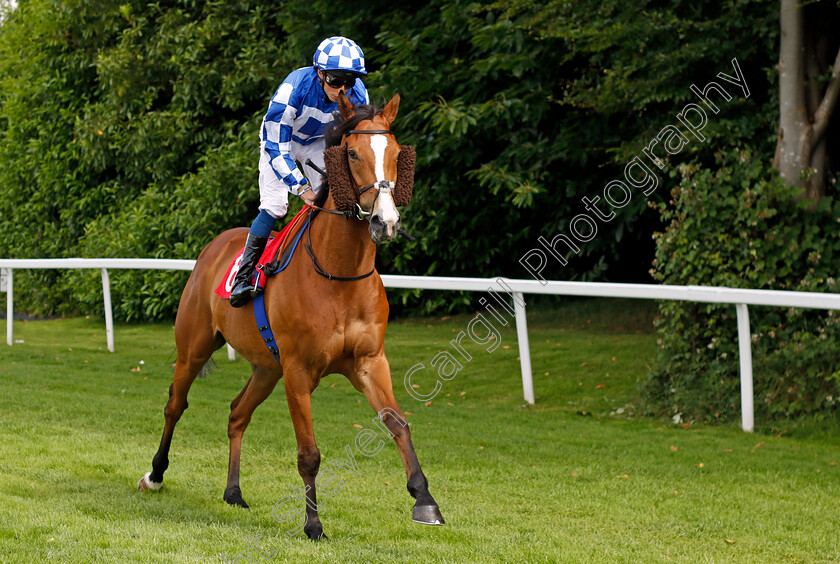 Soto-Sizzler 
 SOTO SIZZLER (William Buick)
Sandown 1 Jul 2022 - Pic Steven Cargill / Racingfotos.com