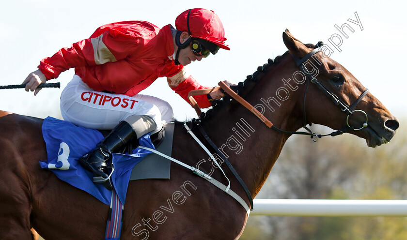 Elegiac-0004 
 ELEGIAC (Franny Norton) wins The Barry Hills Further Flight Stakes
Nottingham 10 Apr 2019 - Pic Steven Cargill / Racingfotos.com