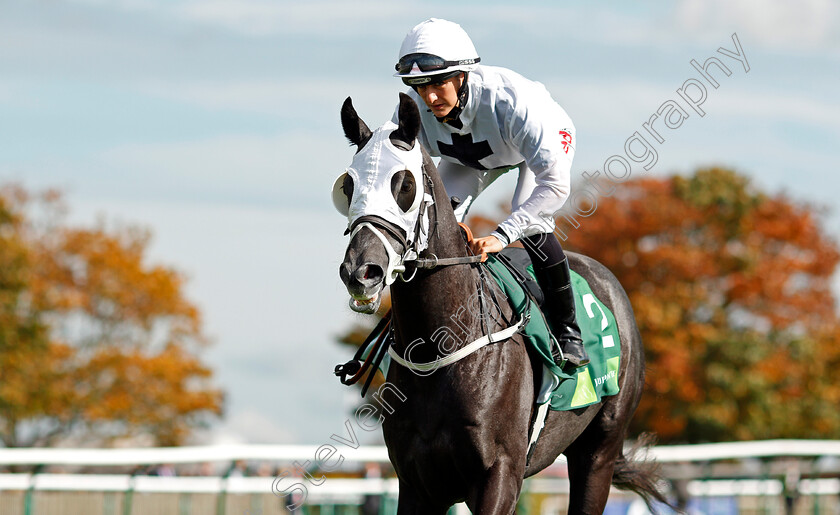 Midnight-Wilde-0001 
 MIDNIGHT WILDE (Josephine Gordon) Newmarket 30 Sep 2017 - Pic Steven Cargill / Racingfotos.com