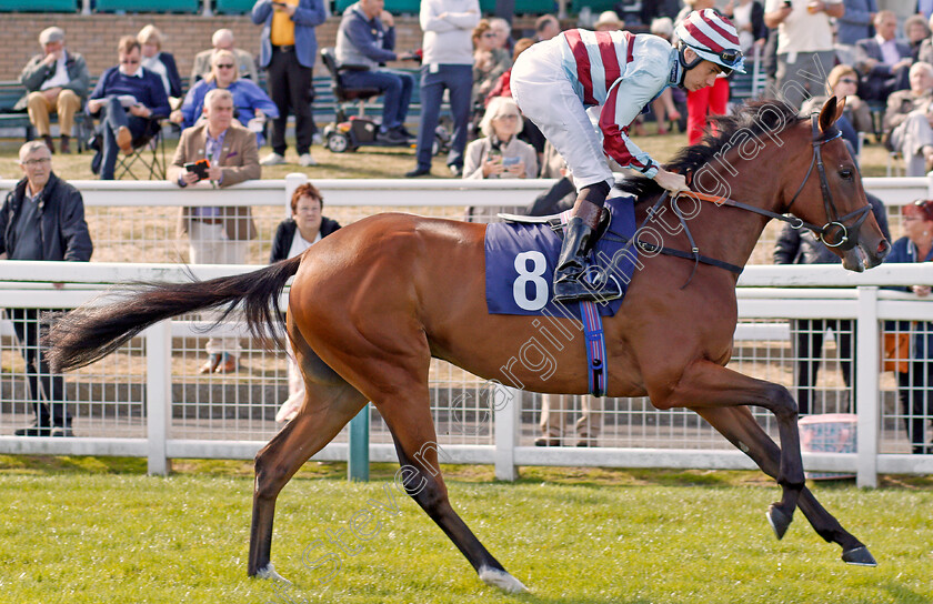 Uncle-Sid-0001 
 UNCLE SID (Callum Shepherd)
Yarmouth 17 Sep 2019 - Pic Steven Cargill / Racingfotos.com