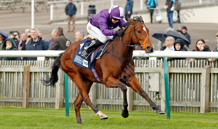 Symphony-Perfect-0004 
 SYMPHONY PERFECT (Hayley Turner) wins The Irish Stallion Farms EBF Bosra Sham Fillies Stakes
Newmarket 29 Oct 2021 - Pic Steven Cargill / Racingfotos.com