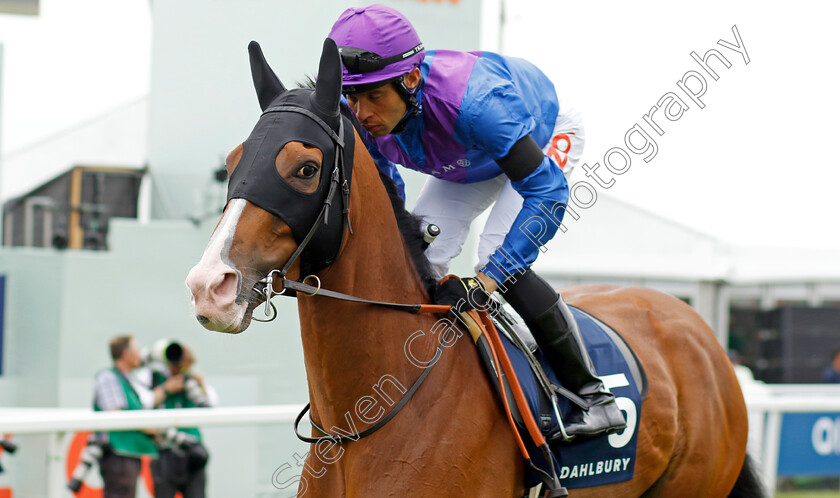 Palavecino 
 PALAVECINO (Sean Levey)
Epsom 3 Jul 2022 - Pic Steven Cargill / Racingfotos.com