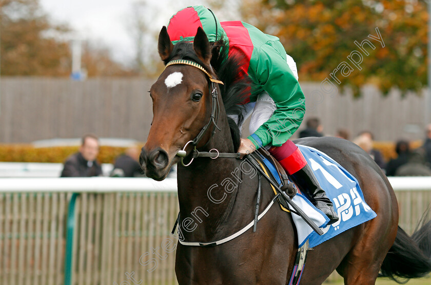 Sankari-Royale-0001 
 SANKARI ROYALE (Frankie Dettori) Newmarket 13 Oct 2017 - Pic Steven Cargill / Racingfotos.com