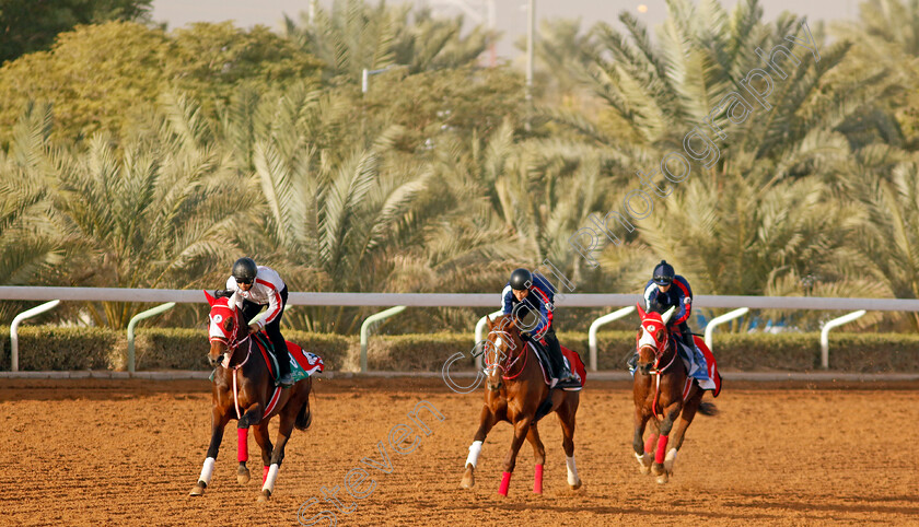 Panthalassa,-Continuar-and-Bathrat-Leon-0001 
 PANTHALASSA (left) training for the Saudi Cup ahead of CONTINUAR (centre, Saudi Derby) and BATHRAT LEON (right, 1351 Turf Sprint)
King Abdulaziz Racecourse, Kingdom of Saudi Arabia, 22 Feb 2023 - Pic Steven Cargill / Racingfotos.com