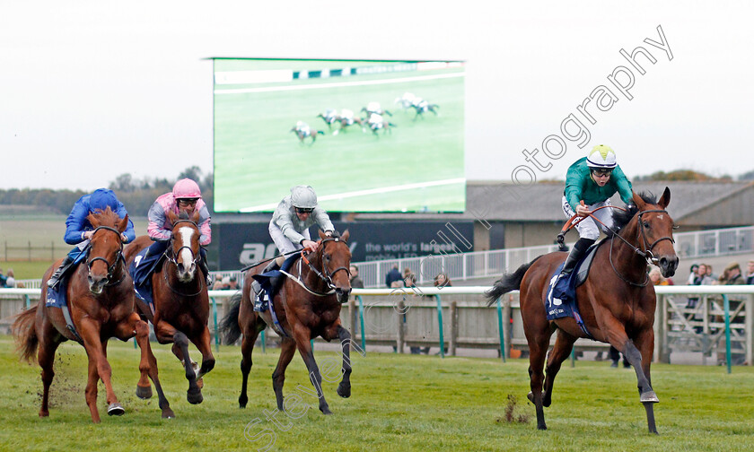 Trefoil-0002 
 TREFOIL (Richard Kingscote) wins The Matchbook EBF Future Stayers Novice Stakes
Newmarket 23 Oct 2019 - Pic Steven Cargill / Racingfotos.com