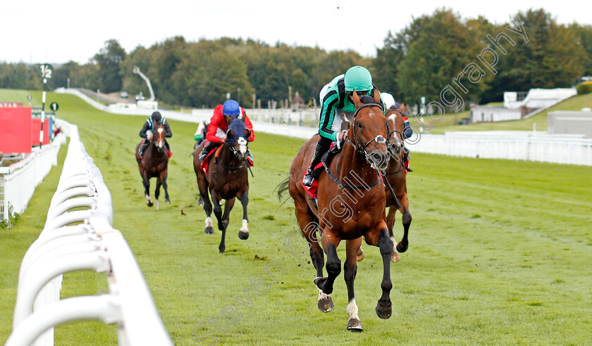 Century-Dream-0003 
 CENTURY DREAM (James Doyle) wins The Ladbrokes Celebration Mile
Goodwood 29 Aug 2020 - Pic Steven Cargill / Racingfotos.com