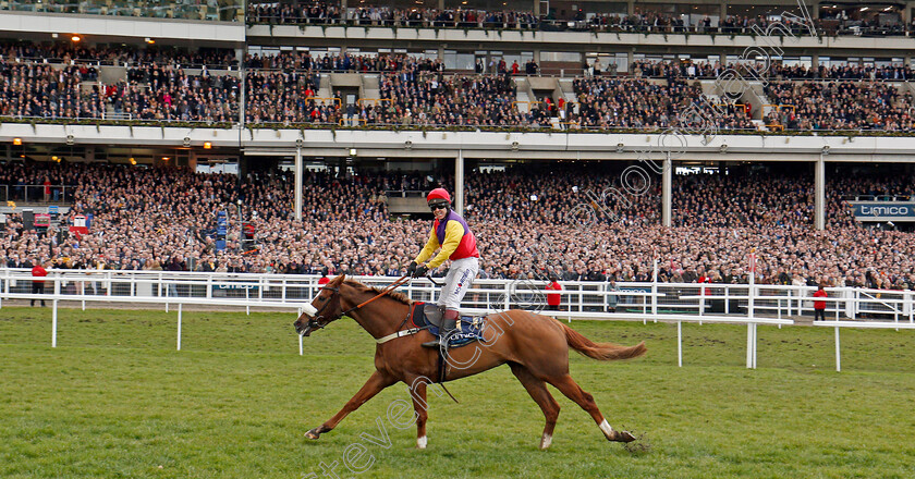 Native-River-0010 
 NATIVE RIVER (Richard Johnson) wins The Timico Cheltenham Gold Cup Cheltenham 16 mar 2018 - Pic Steven Cargill / Racingfotos.com