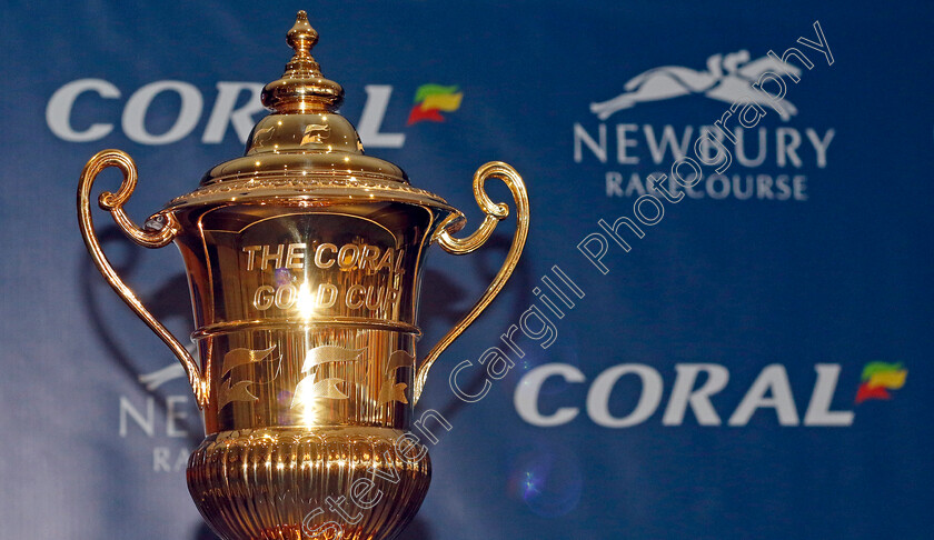 Coral-Gold-Cup-0002 
 Coral Gold Cup Weekend Gallops Morning
Newbury 15 Nov 2022 - Pic Steven Cargill / Racingfotos.com