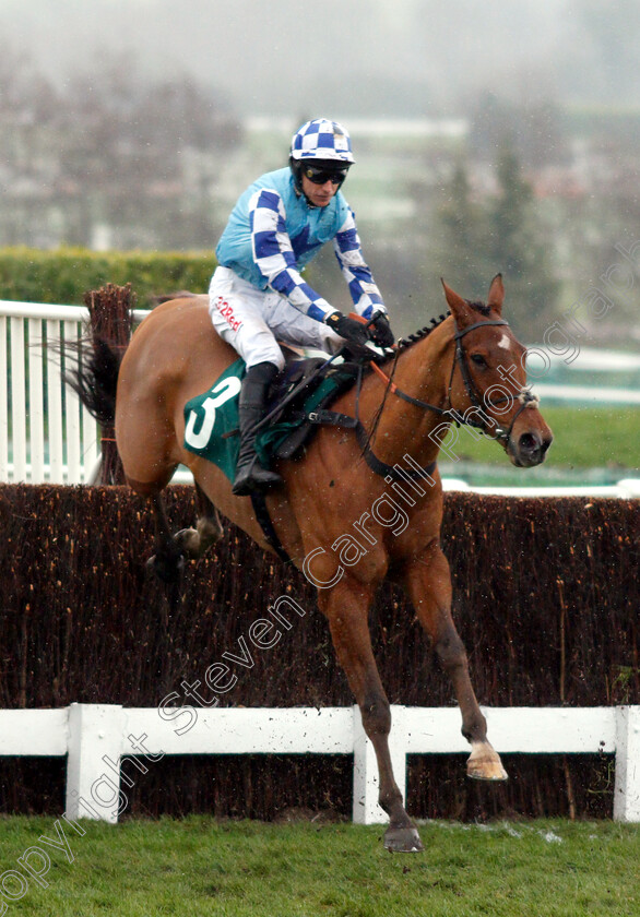 Bun-Doran-0001 
 BUN DORAN (Paddy Brennan)
Cheltenham 15 Dec 2018 - Pic Steven Cargill / Racingfotos.com