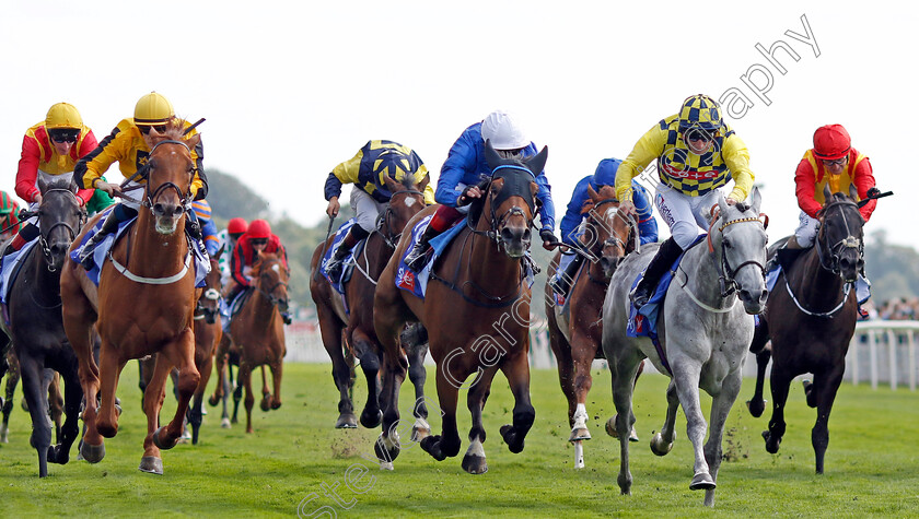 Trawlerman-0002 
 TRAWLERMAN (centre, Frankie Dettori) beats ALFRED BOUCHER (right) and EARL OF TYRONE (left) in The Sky Bet Ebor Handicap
York 20 Aug 2022 - Pic Steven Cargill / Racingfotos.com